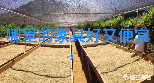 还只喝过柠檬水柠檬制品可不仅是种类多还能滋补美颜呢