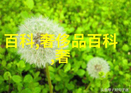 靴子和西装 搭配好伙伴